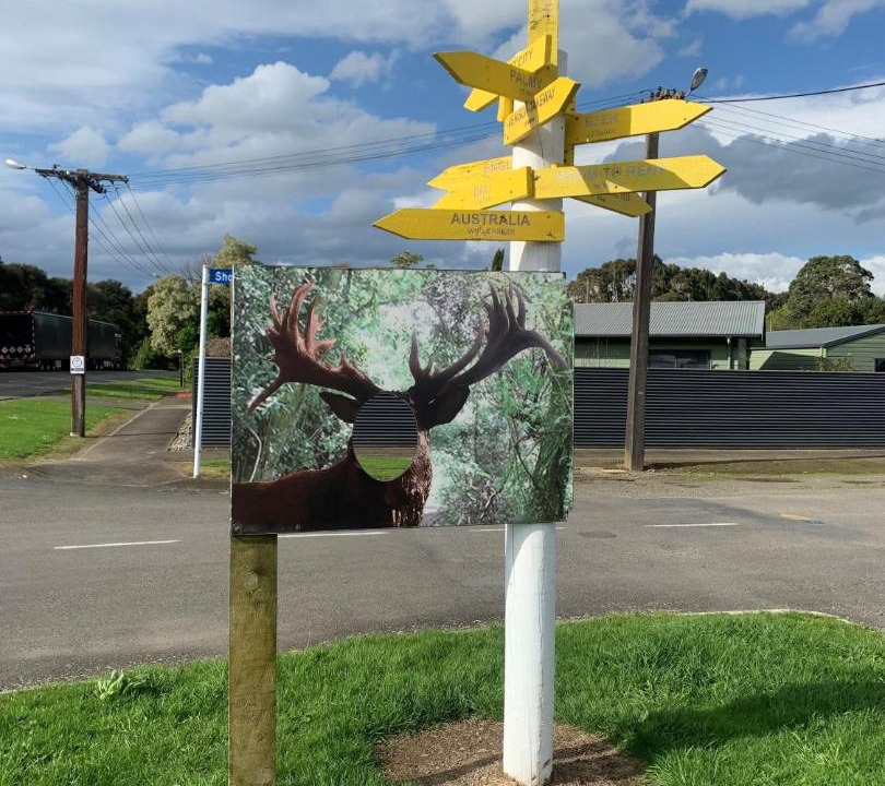 Photo of Others in Ashhurst