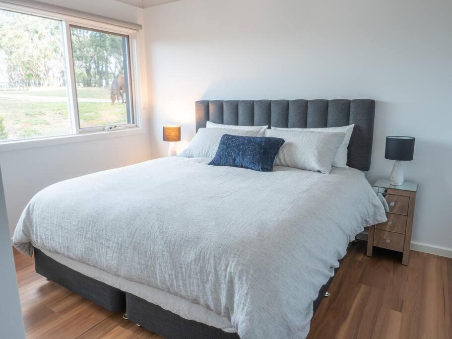 Photo of Bedroom in Main Ridge