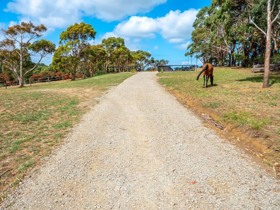 Photo of Others in Main Ridge