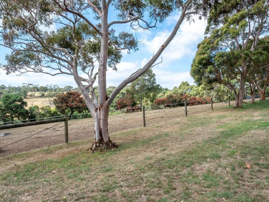 Photo of Others in Main Ridge