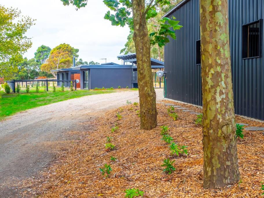 Photo of Others in Main Ridge