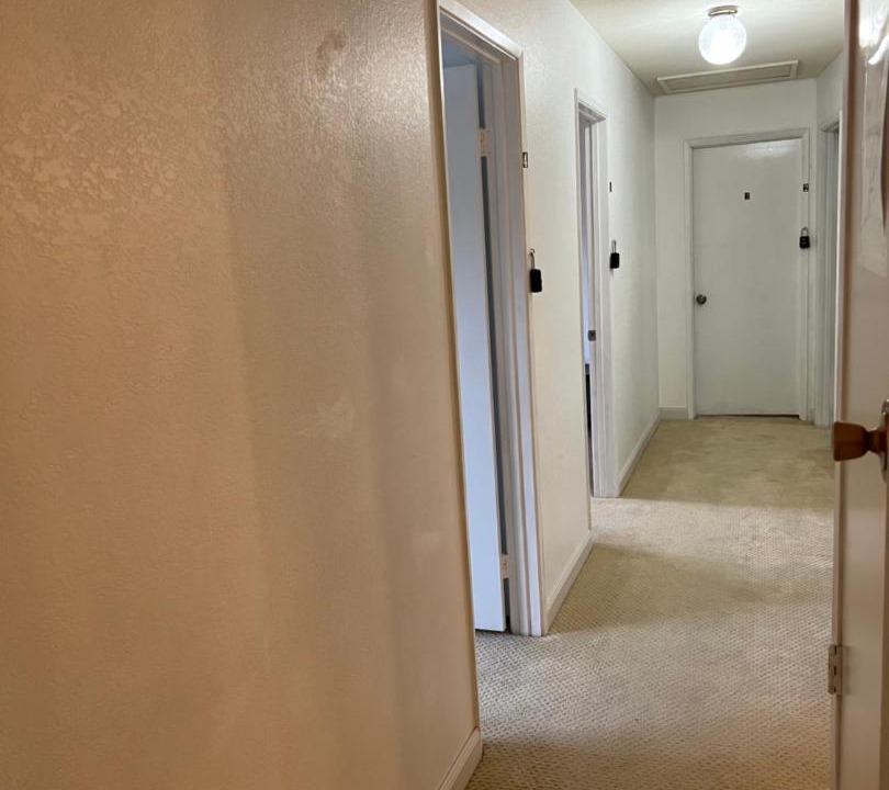 Photo of Others in East San Jose