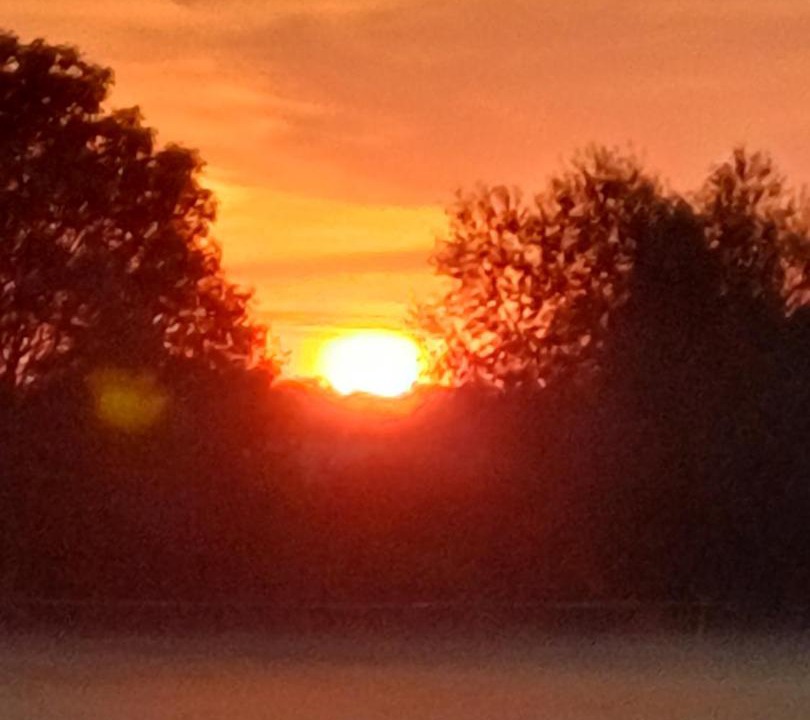 Photo of Others in Ruffey-les-Beaune