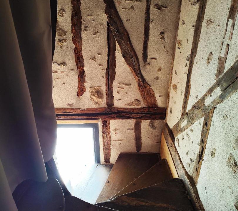 Photo of Others in Avallon