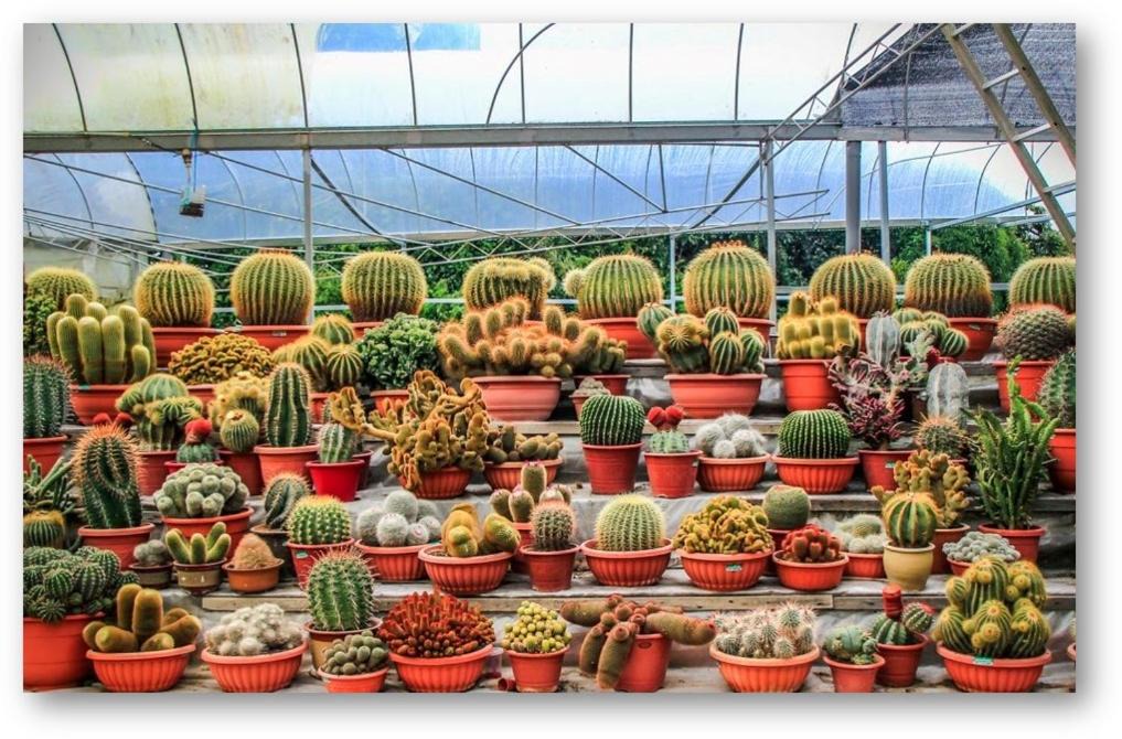 Photo of Others in Brinchang