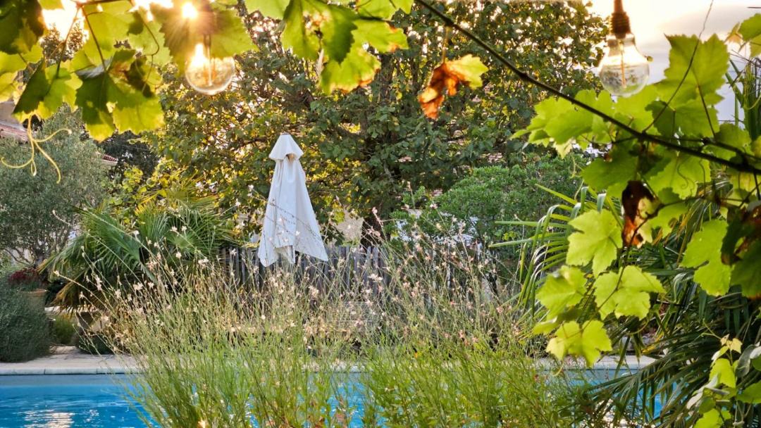 Photo of Others in Les Leches