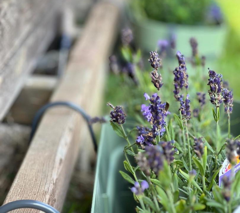 Photo of Outdoor in Bradford-on-Avon