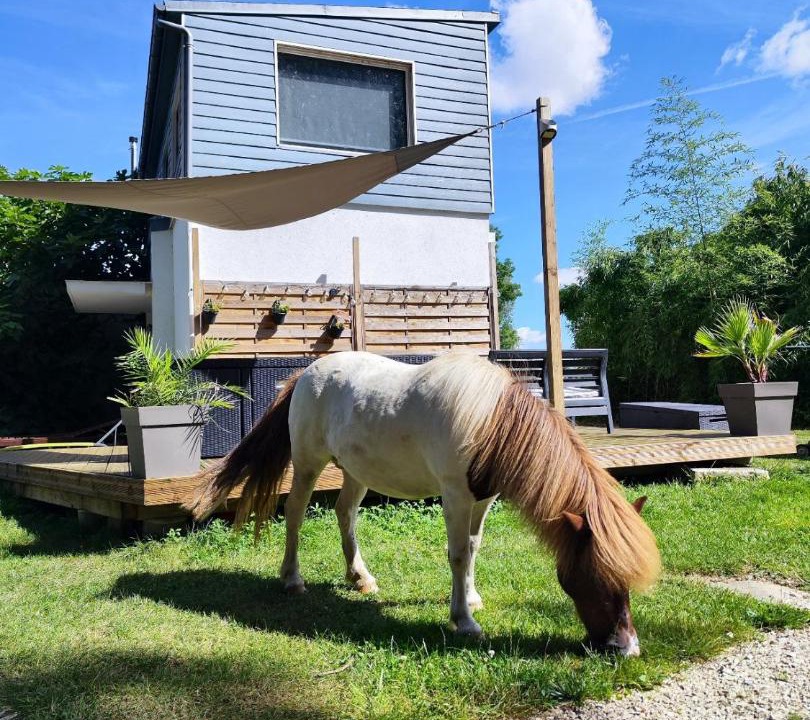 Photo of Others in Tart-le-Bas