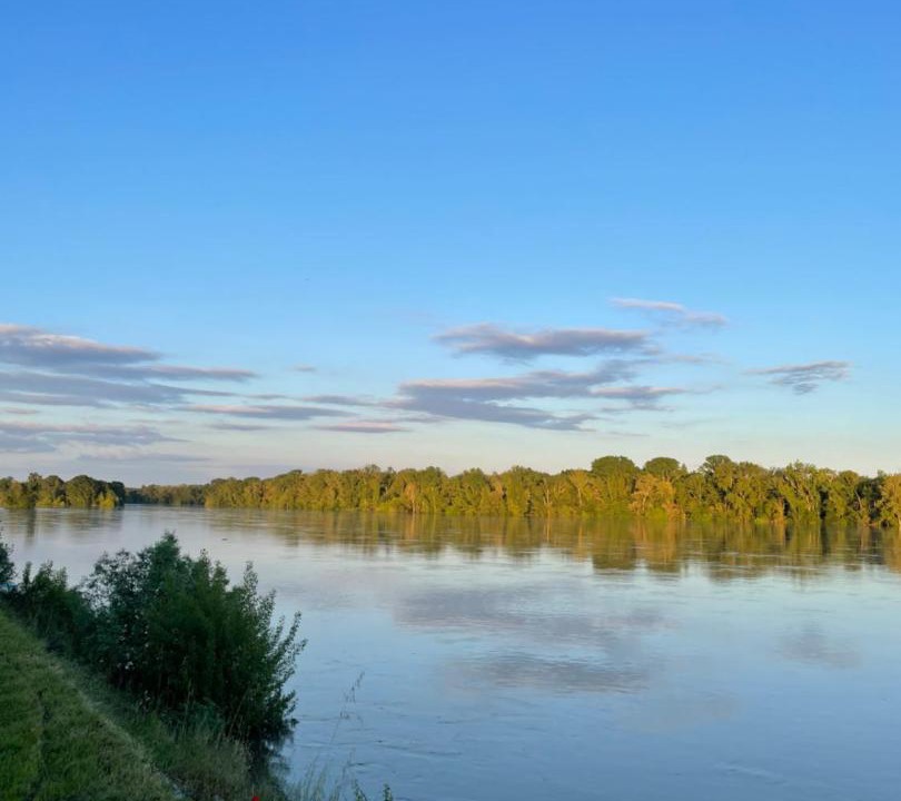 Photo of Others in La Chapelle-sur-Loire
