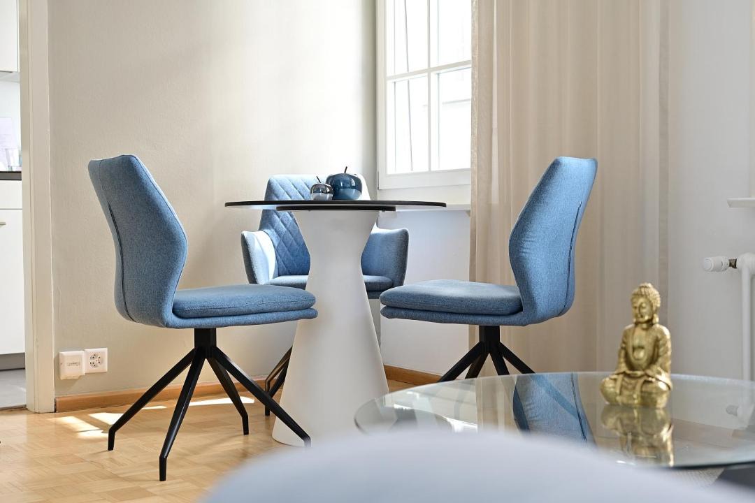 Photo of Livingroom in Basel City Centre