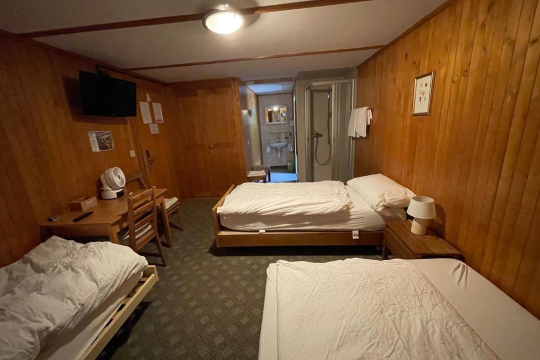 Photo of Bedroom in Ausserberg