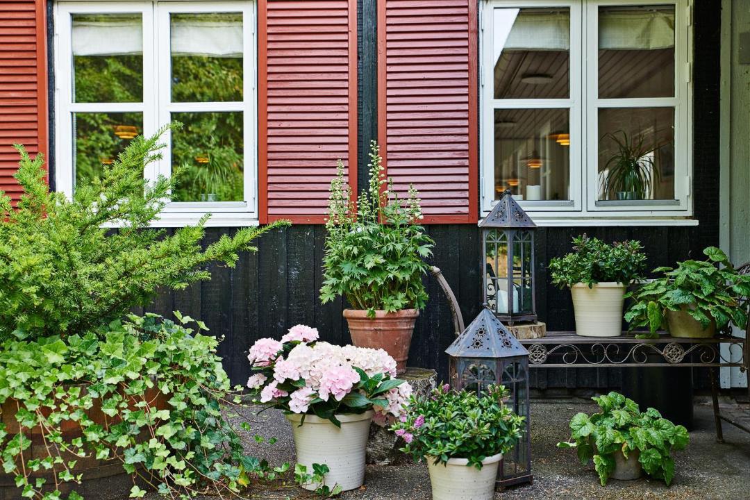 Photo of Others in Hillerod