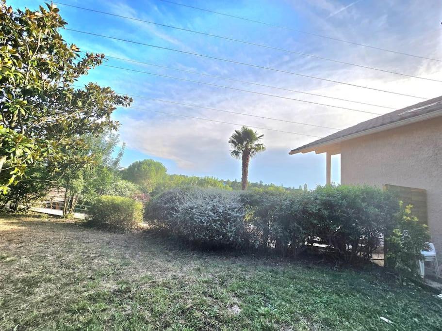 Photo of Others in Vieille-Toulouse