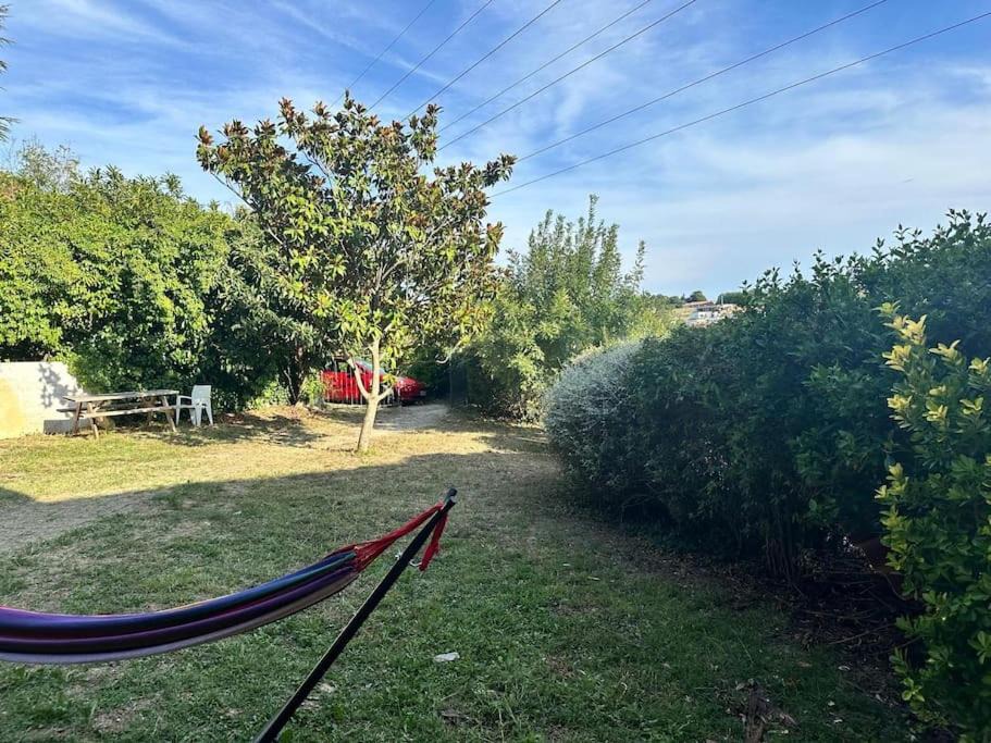 Photo of Outdoor in Vieille-Toulouse