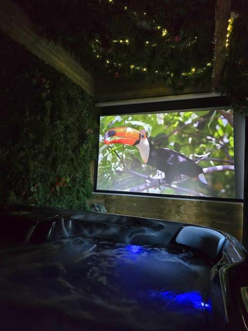 Photo of Others in Vieille-Toulouse