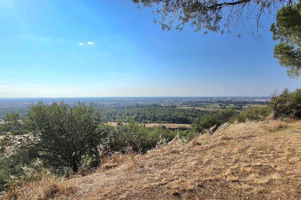 Photo of Others in Vieille-Toulouse