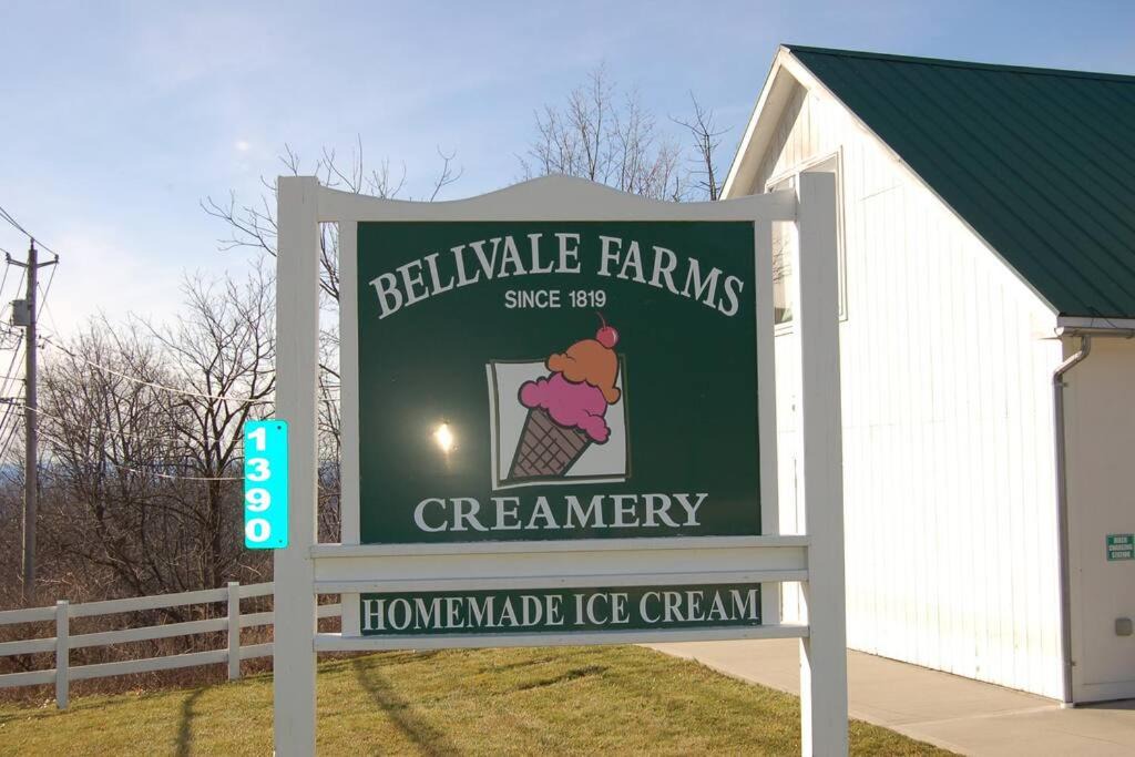 Photo of Others in Bellvale