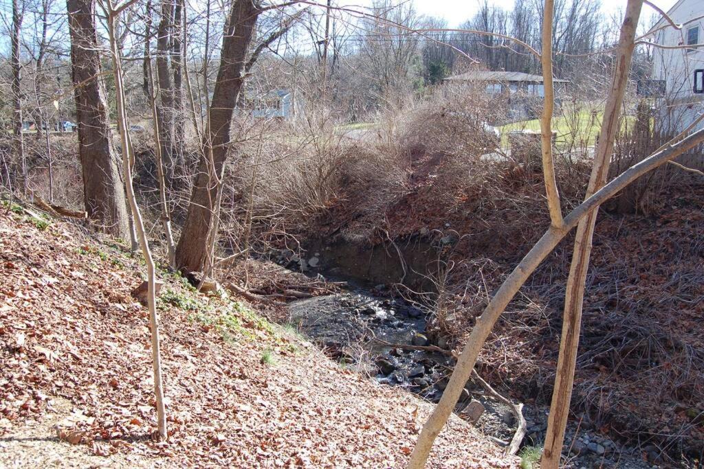 Photo of Outdoor in Bellvale