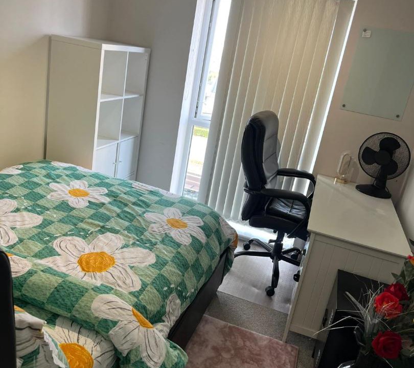 Photo of Others in Belvedere