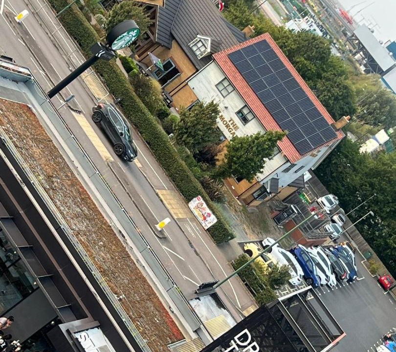 Photo of Others in Belvedere