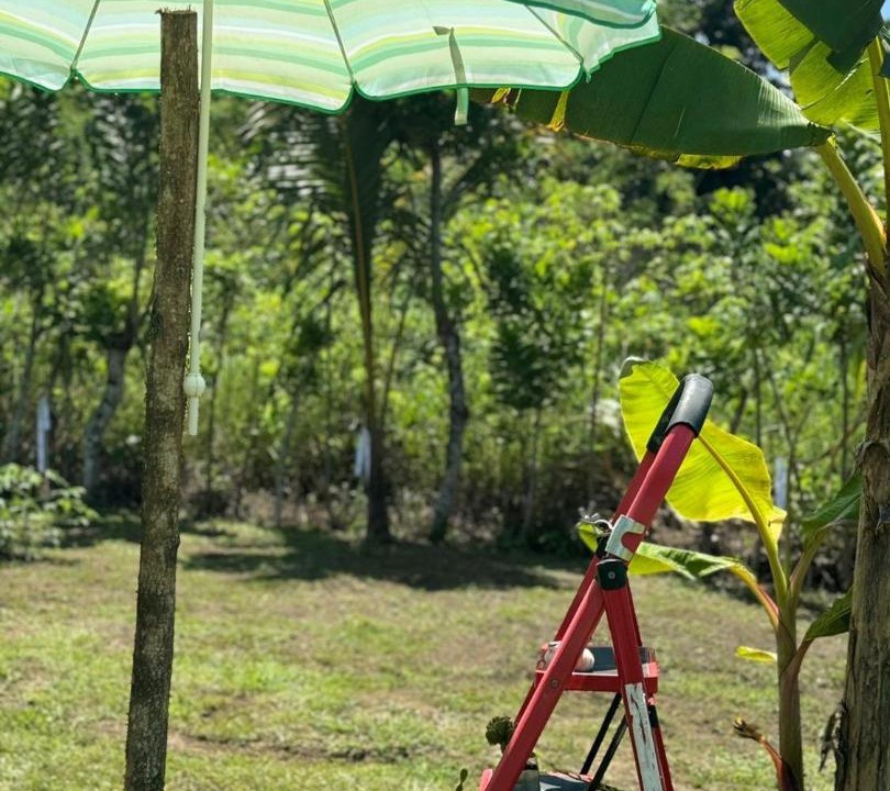 Photo of Others in Cotui