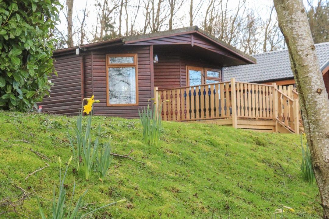 Photo of Others in Yealand Conyers