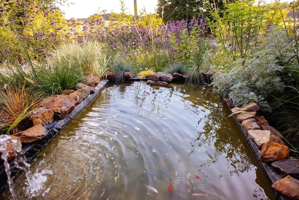 Photo of Others in Diges