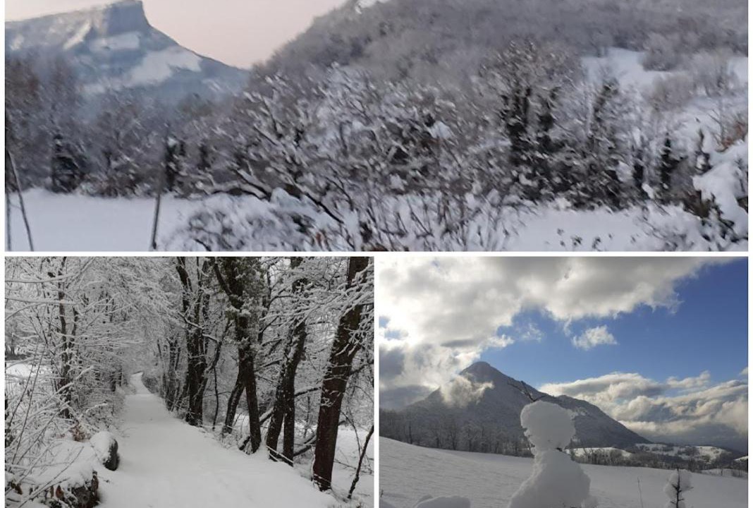 Photo of Others in Puygros