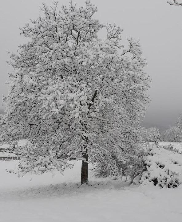 Photo of Others in Puygros