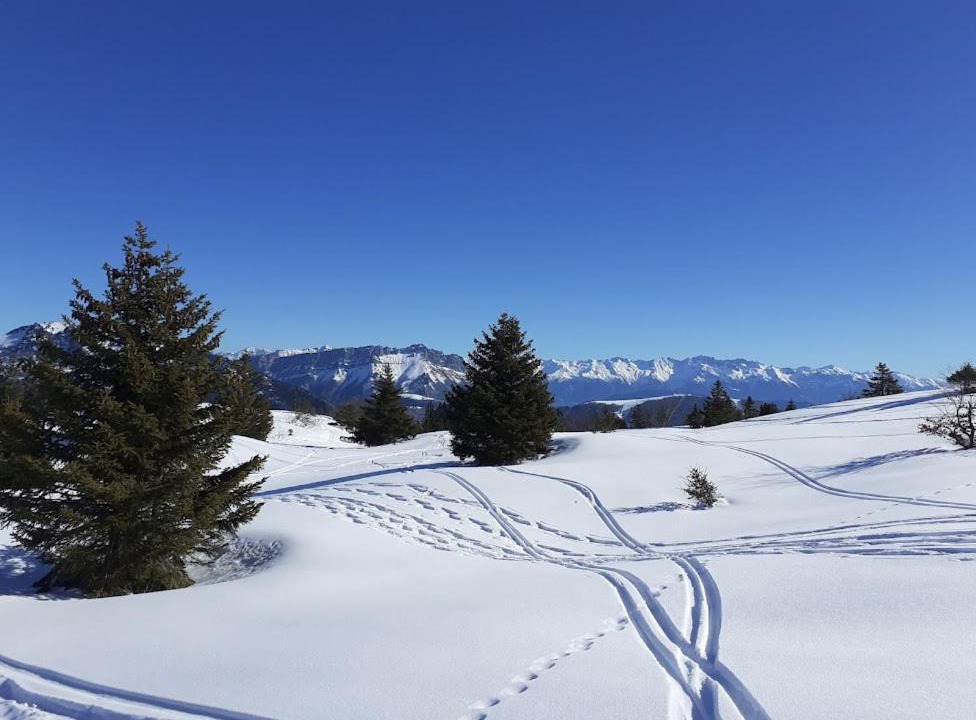 Photo of Others in Puygros