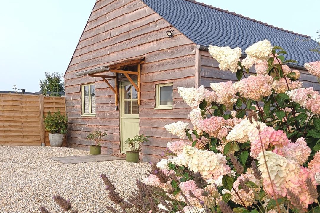 Photo of Others in Megrit