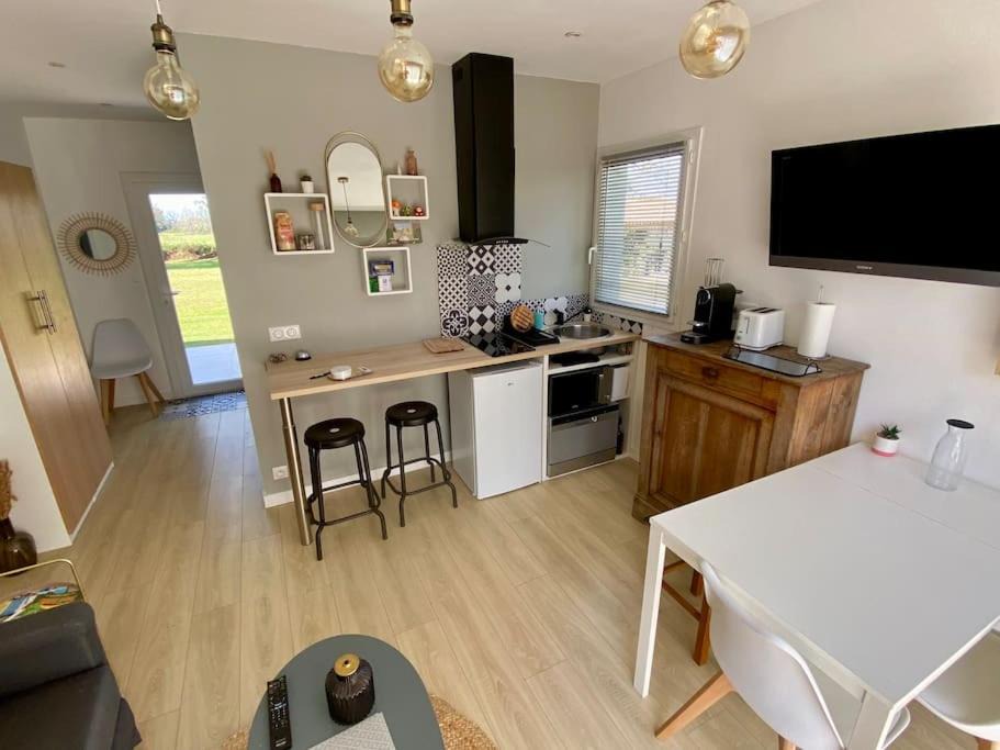 Photo of Others in Came