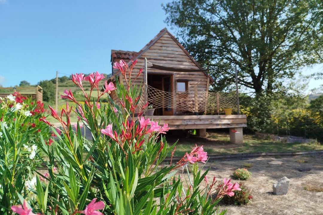 Photo of Others in Cordes-sur-Ciel