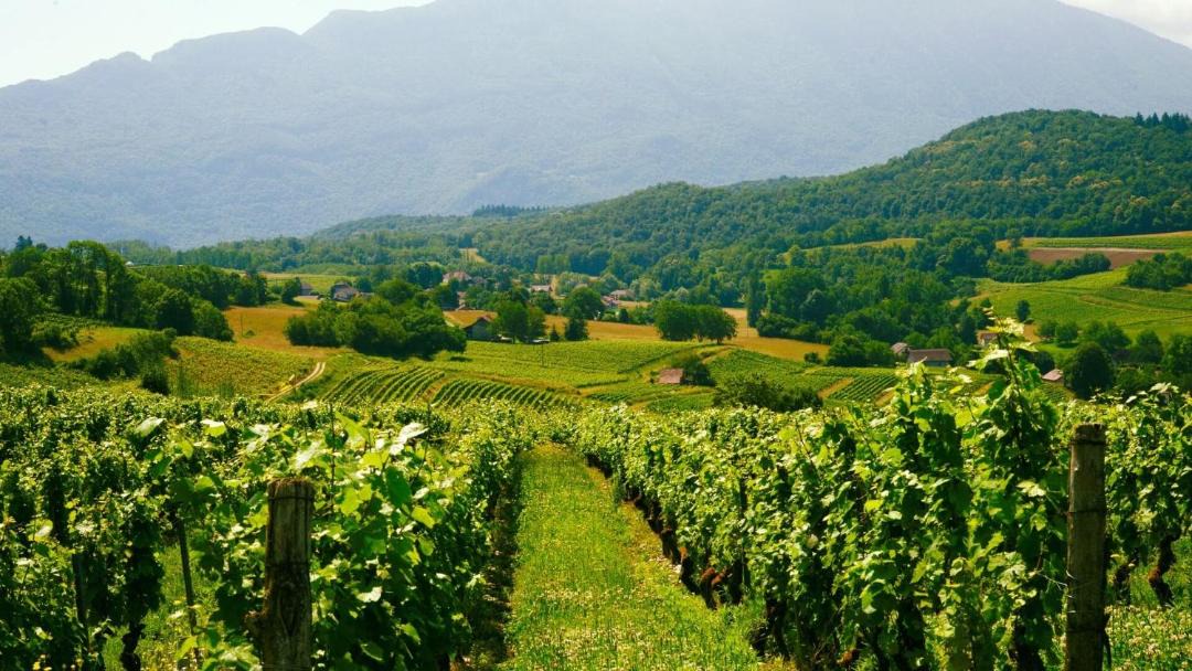 Photo of Others in Jongieux