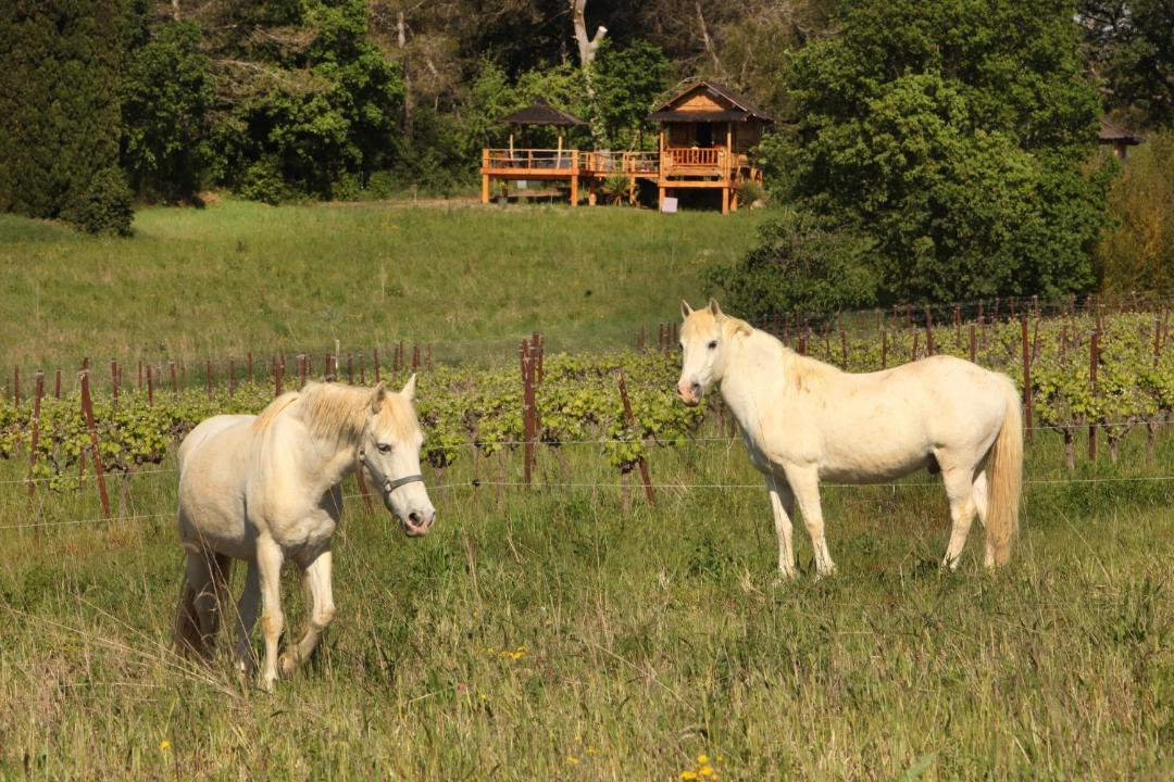 Photo of Others in Aigremont