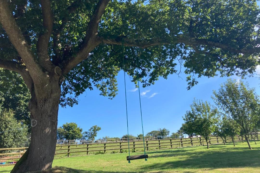 Photo of Outdoor in Broadwoodkelly