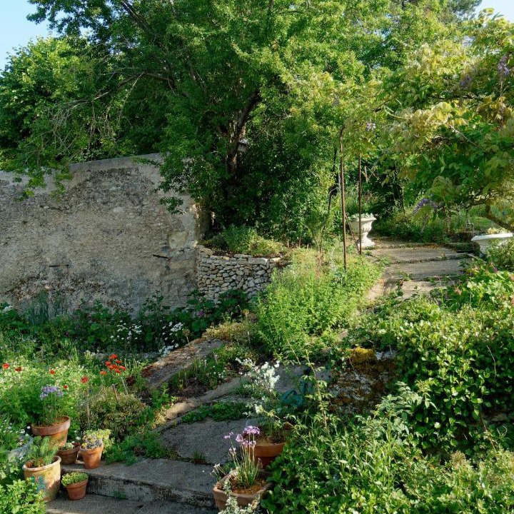 Photo of Others in Chisseaux