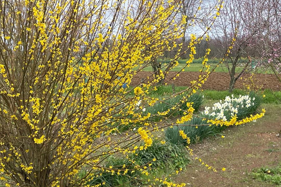 Photo of Outdoor in Pouant