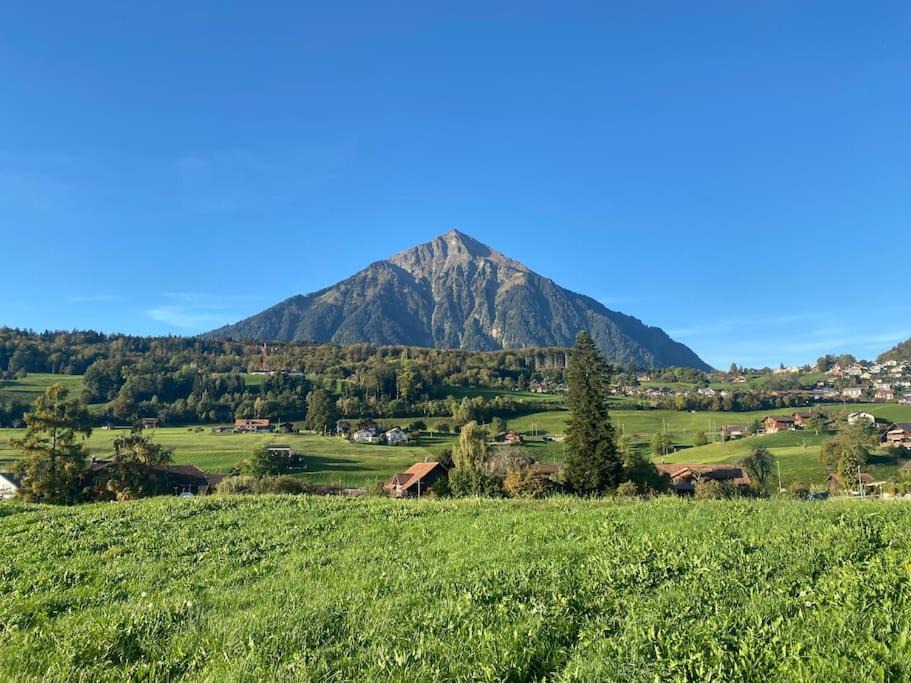 Photo of Others in Faulensee