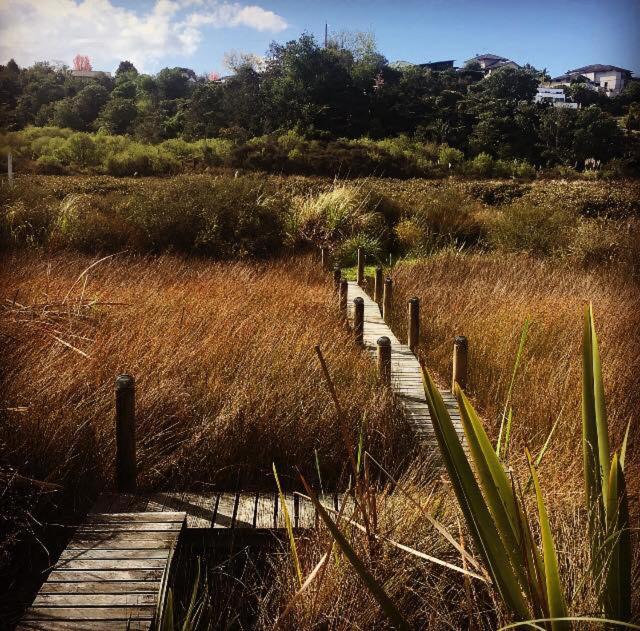 Photo of Others in Welcome Bay