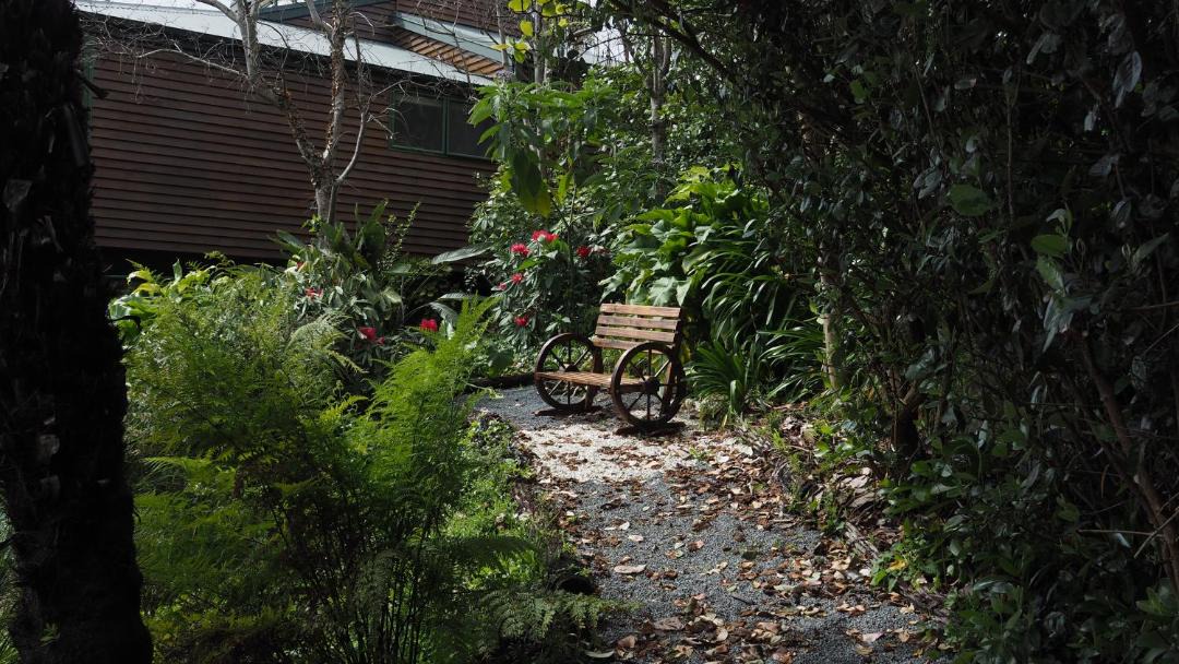 Photo of Others in Welcome Bay