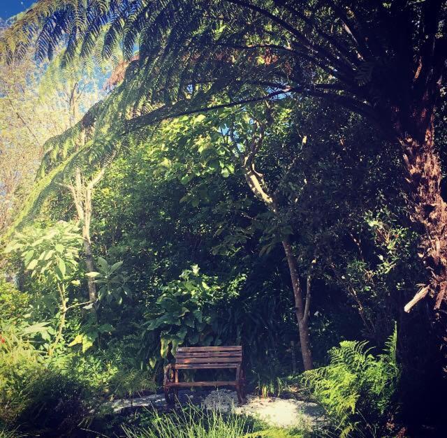 Photo of Others in Welcome Bay