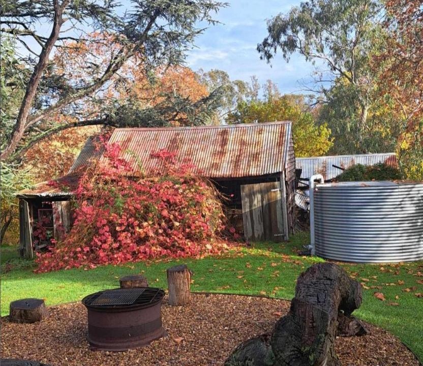 Photo of Others in Glenhope