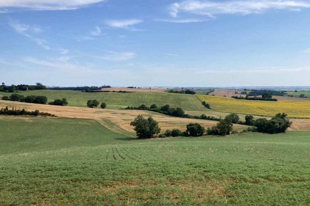 Photo of Others in Brugnens