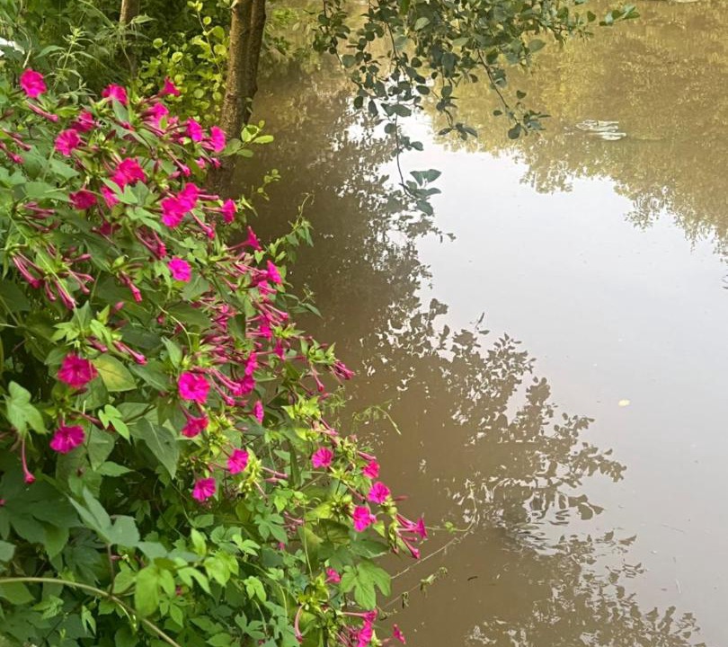 Photo of Others in Saint-Florentin