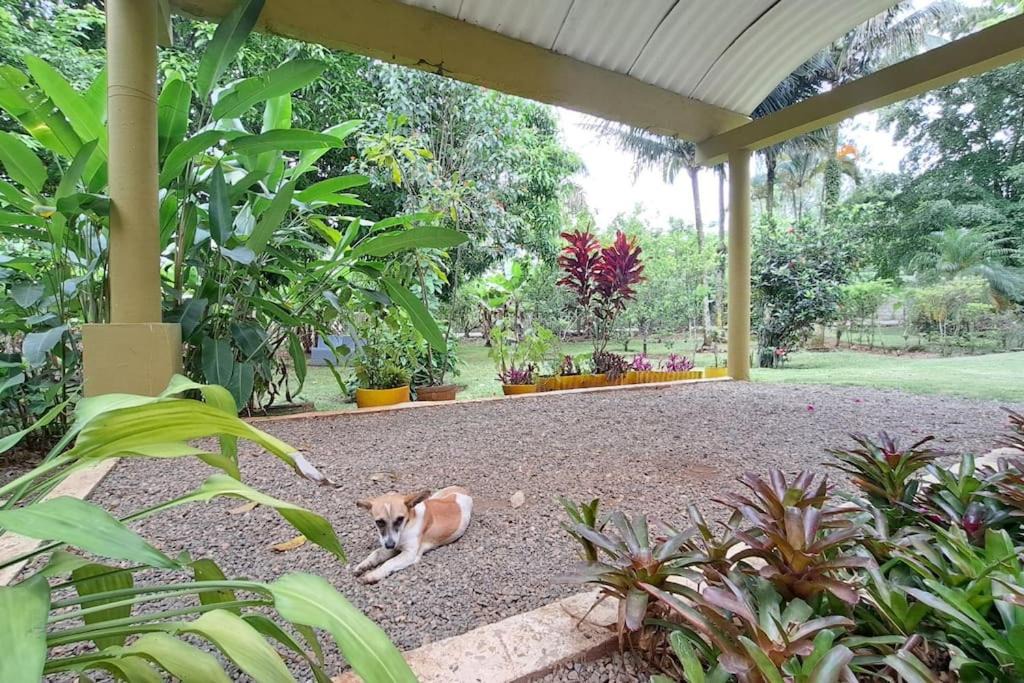 Photo of Others in La Vega Province