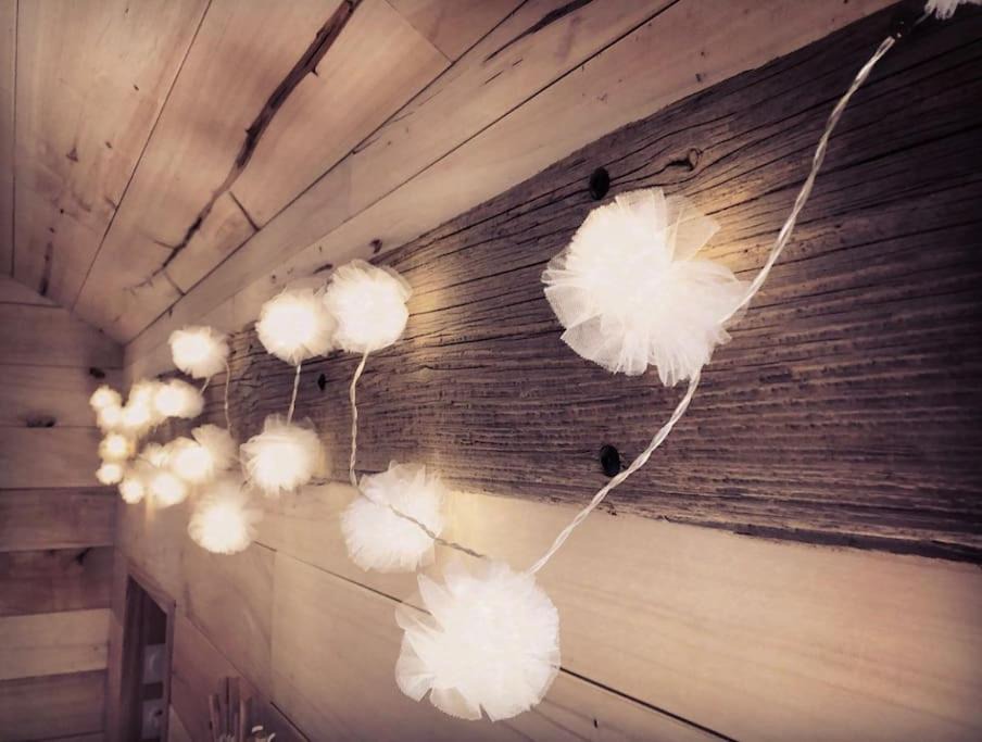 Photo of Others in Saulieu