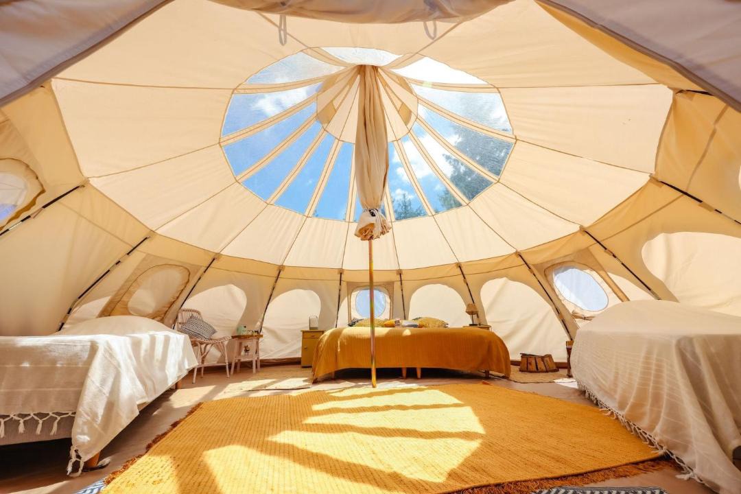 Photo of Others in Busque