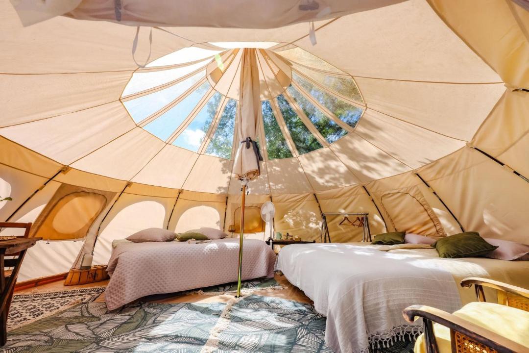 Photo of Others in Busque