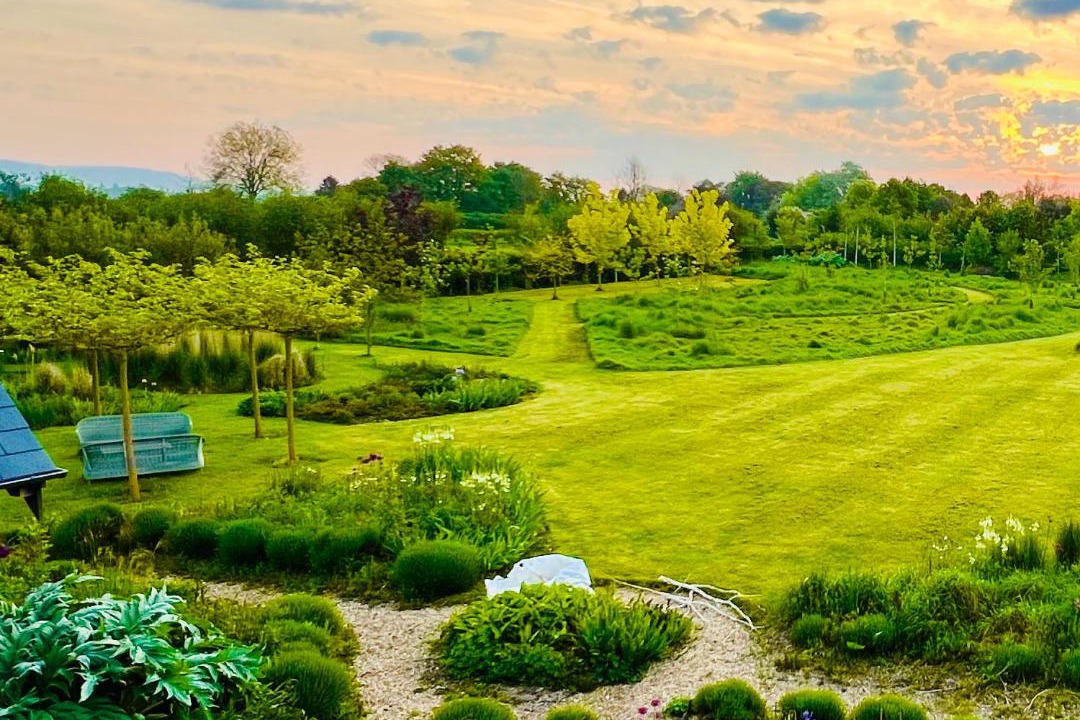 Photo of Others in Chichester